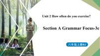 人教新目标 (Go for it) 版八年级上册Section A教学课件ppt