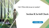 英语人教新目标 (Go for it) 版Section B教课ppt课件