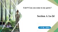 人教新目标 (Go for it) 版八年级上册Section A图文ppt课件