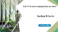 人教新目标 (Go for it) 版八年级上册Section A教案配套ppt课件