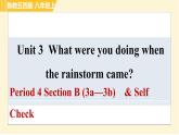 鲁教版八年级上册英语课件 Unit3 Period 4 Section B (3a—3b) & Self Check