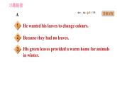 牛津譯林版九年級上冊英語課件 期末綜合能力提升練 任務(wù)型閱讀
