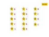 冀教版九年級上冊英語課件 Unit5 Lesson 26　Keep the Candle Burning