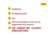 冀教版九年级上册英语课件 Unit5 阅读能力提升练