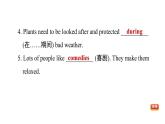 冀教版九年級(jí)上冊(cè)英語(yǔ)課件 Unit6 Lesson 36　Making Plays Is Fun