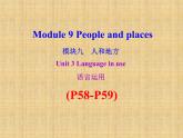 外研版（新标准）初中英语九年级下册Module 9-Unit 3 课件