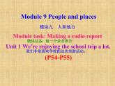 外研版（新標(biāo)準(zhǔn)）初中英語九年級下冊Module 9-Unit 1 課件