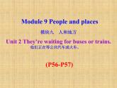 外研版（新标准）初中英语九年级下册Module 9-Unit 2 课件