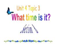 初中英语Topic 3 What time is it now?教学ppt课件