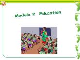 外研版（新标准）初中英语九年级下册Moudule2-Unit 3 课件