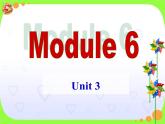 外研版（新标准）初中英语九年级下册Module 6-Unit 3 课件