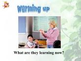 外研版（新標(biāo)準(zhǔn)）初中英語(yǔ)九年級(jí)下冊(cè)Module 7-Unit 1 課件