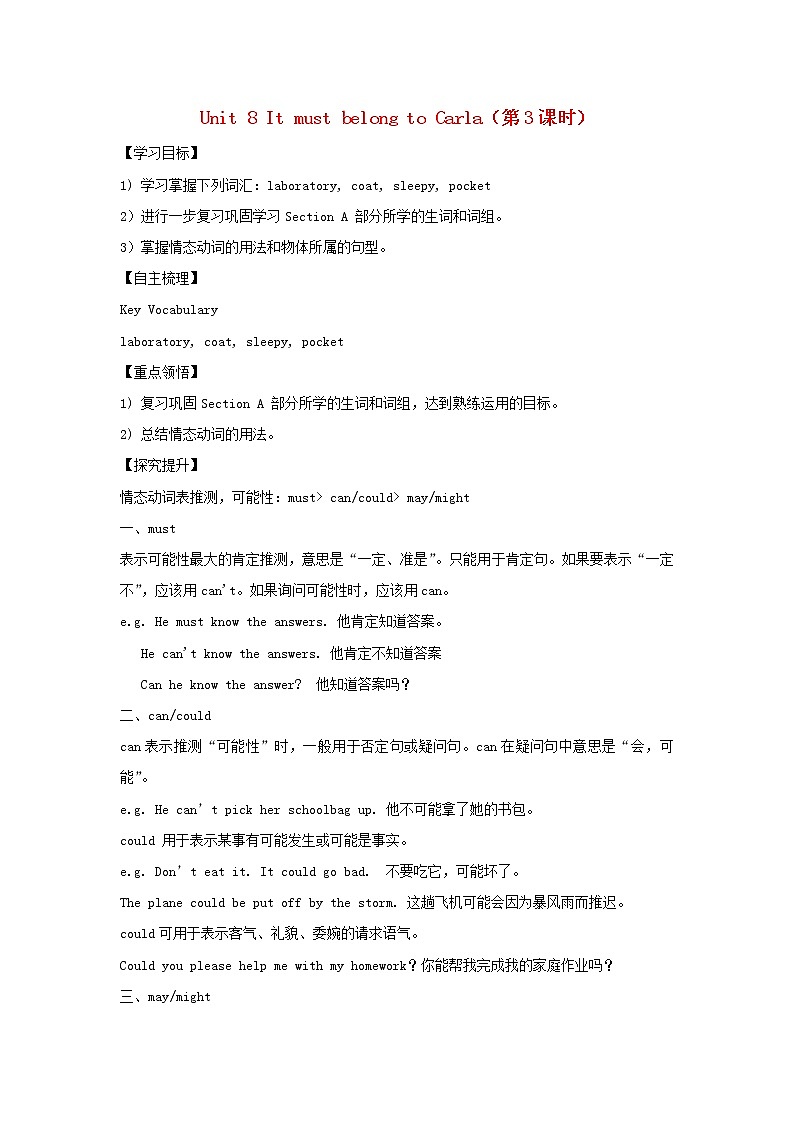 九年级英语全册 Unit 8 It must belong to Carla（第3课时）学案 （新版）人教新目标版01