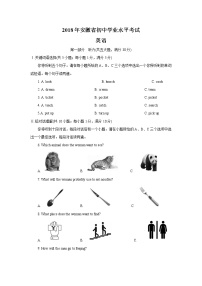 安徽省2018年中考英语试题（word版，含解析）