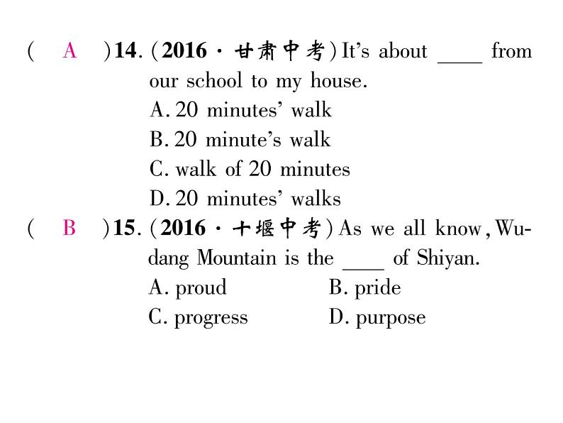 九年级中考英语复习课件（人教版）专题一  中考名词、冠词单项选择题汇编 （共20张PPT）08