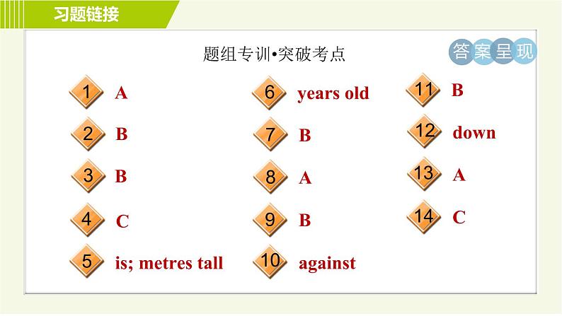 冀教版七年级上册英语习题课件 Unit3 Lesson 15 Tall or Short03