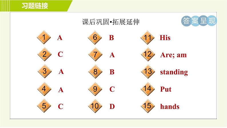 冀教版七年级上册英语习题课件 Unit3 Lesson 15 Tall or Short04