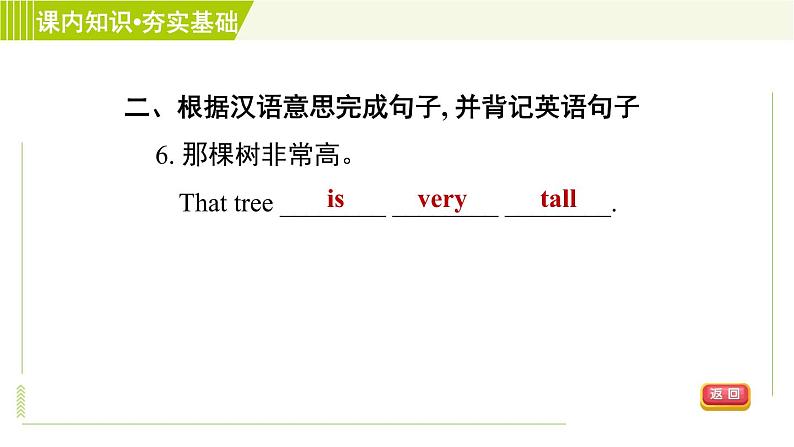 冀教版七年级上册英语习题课件 Unit3 Lesson 15 Tall or Short08