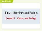 冀教版七年級上冊英語習(xí)題課件 Unit3 Lesson 14 Colours and Feelings