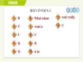 冀教版七年级上册英语习题课件 Unit2 Lesson 7 Jenny's New Skirt