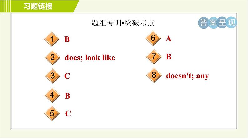 冀教版七年级上册英语习题课件 Unit3 Lesson 18 We All Look Different!03