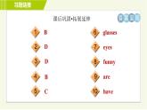 冀教版七年级上册英语习题课件 Unit3 Lesson 18 We All Look Different!