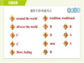 冀教版七年級上冊英語習(xí)題課件 Unit2 Lesson 11 Clothes around the World