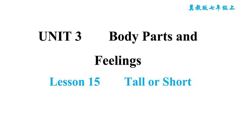 冀教版七年级上册英语习题课件 Unit3 Lesson 15　　Tall or Short01