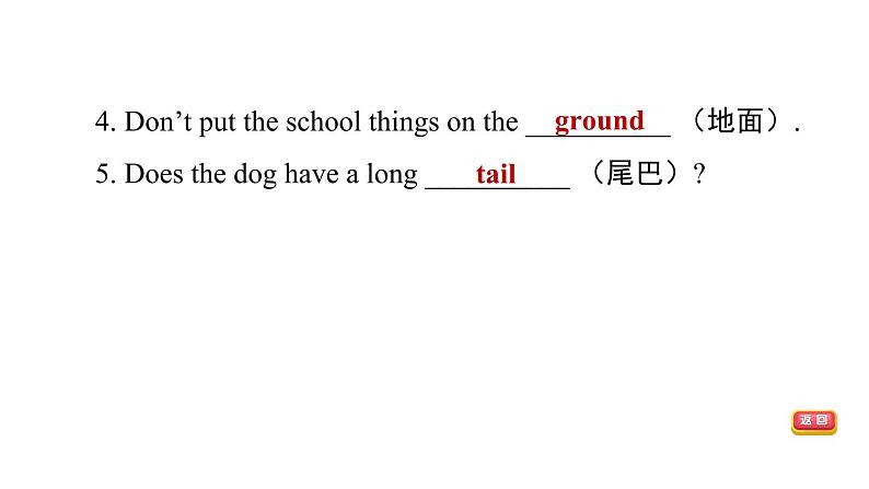 冀教版七年级上册英语习题课件 Unit3 Lesson 15　　Tall or Short07