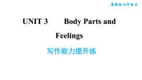 初中英语冀教版七年级上册Unit 3 Body Parts and Feelings综合与测试习题ppt课件