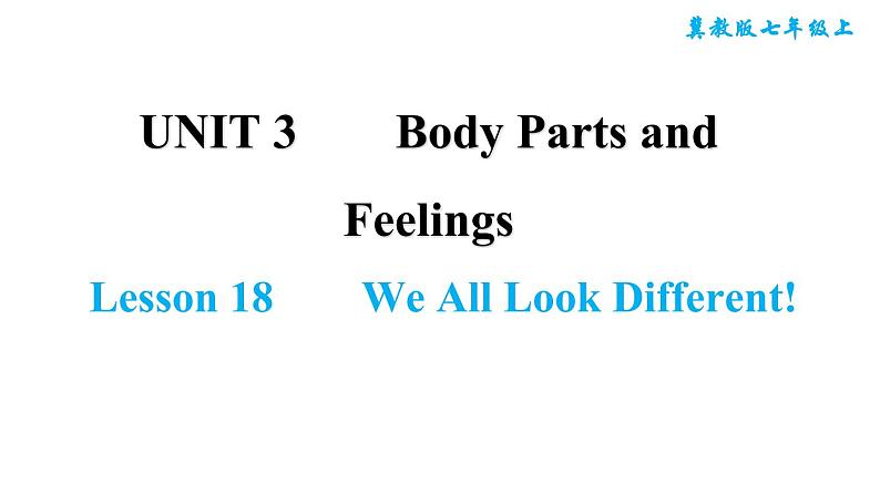 冀教版七年级上册英语习题课件 Unit3 Lesson 18　　We All Look Different!第1页