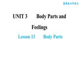 冀教版七年級(jí)上冊(cè)英語習(xí)題課件 Unit3 Lesson 13　　Body Parts