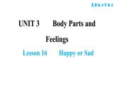 冀教版七年级上册英语习题课件 Unit3 Lesson 16　　Happy or Sad
