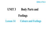 冀教版七年级上册英语习题课件 Unit3 Lesson 14　　Colours and Feelings