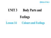 冀教版七年級上冊英語習(xí)題課件 Unit3 Lesson 14　　Colours and Feelings