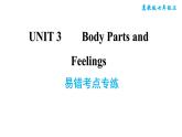 冀教版七年级上册英语习题课件 Unit3 易错考点专练