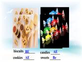 Unit 1 Language. Lesson 2 Different Kinds of Language. 課件+教案