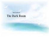 Unit 5 Literature Lesson 14 The Dark Room 课件+教案