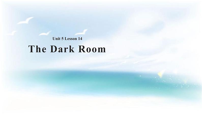 Unit 5 Literature Lesson 14 The Dark Room 课件+教案01