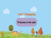 译林英语七年级上册 Unit 7 Shopping 课时1课件+音频