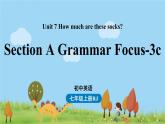 人教英语七年级上Unit7第二课时Section A Grammar Focus-3c PPT课件