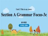 人教七上Unit2第二课时（Section A Grammar Focus-3c） PPT课件