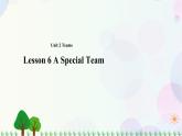 八年级上册英语-Unit 2 Teams Lesson 6 A special team 课件+教案+音频（北师大版）