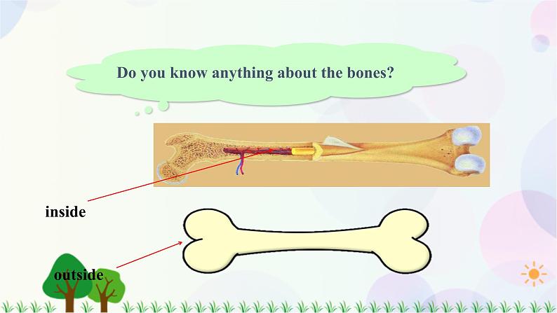 八年级上册英语-Unit 4 Healthy Living Lesson 12 Healthy Bones 课件+教案+音频（北师大版）04