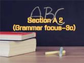 人教版八年级上册U2 SectionA Grammar focus-3c课件