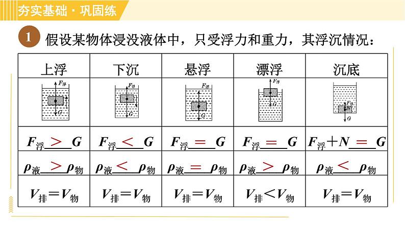 华师版B本八年级上册科学 第3章习题课件04