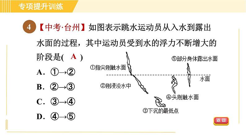 华师版B本八年级上册科学 第3章习题课件07