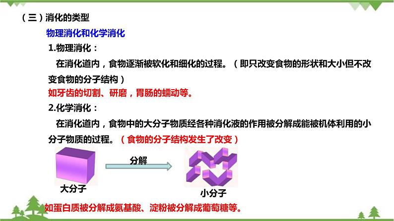 4.2食物的消化与吸收（第2课时）（课件）-九年级科学上册  同步教学课件(浙教版)05