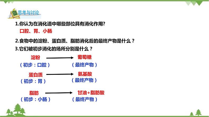 4.2食物的消化与吸收（第2课时）（课件）-九年级科学上册  同步教学课件(浙教版)07