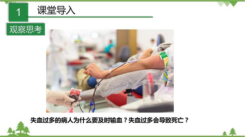 4.3体内物质的运输（第1课时）（课件）（含视频）-九年级科学上册  同步教学课件(浙教版)02